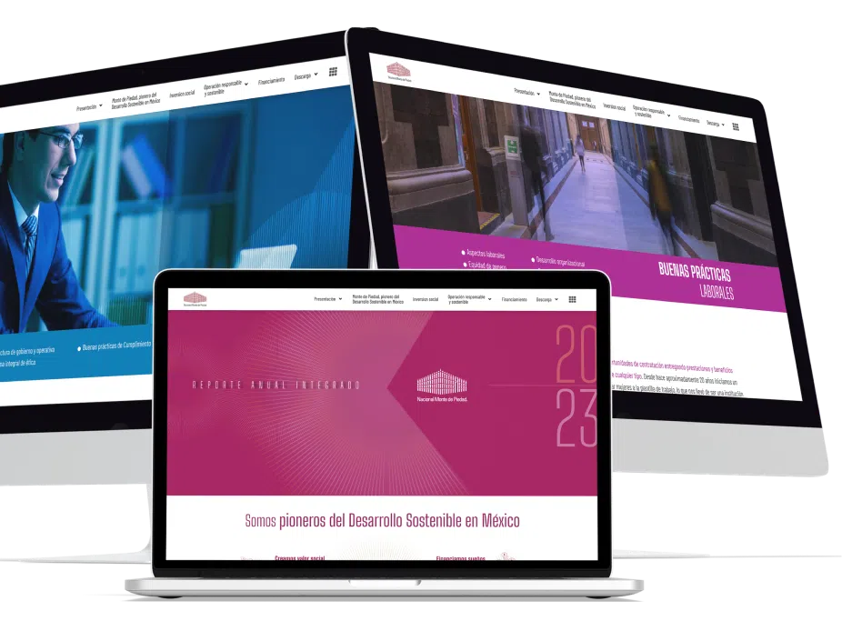 sitio web completo
